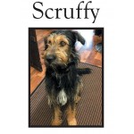 Scruffy